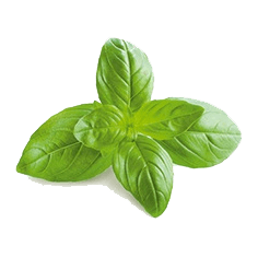 Frozen Basil