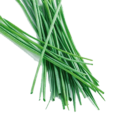Frozen Chives