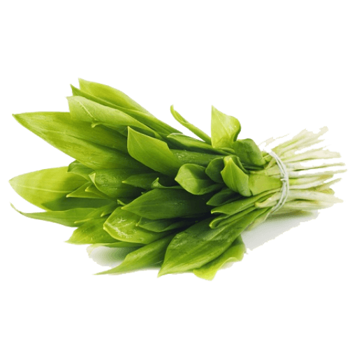 Frozen Bear's Garlic