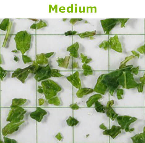 Frozen Spearmint