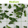 Frozen Basil