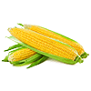 Frozen Corn