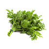 Frozen Parsley